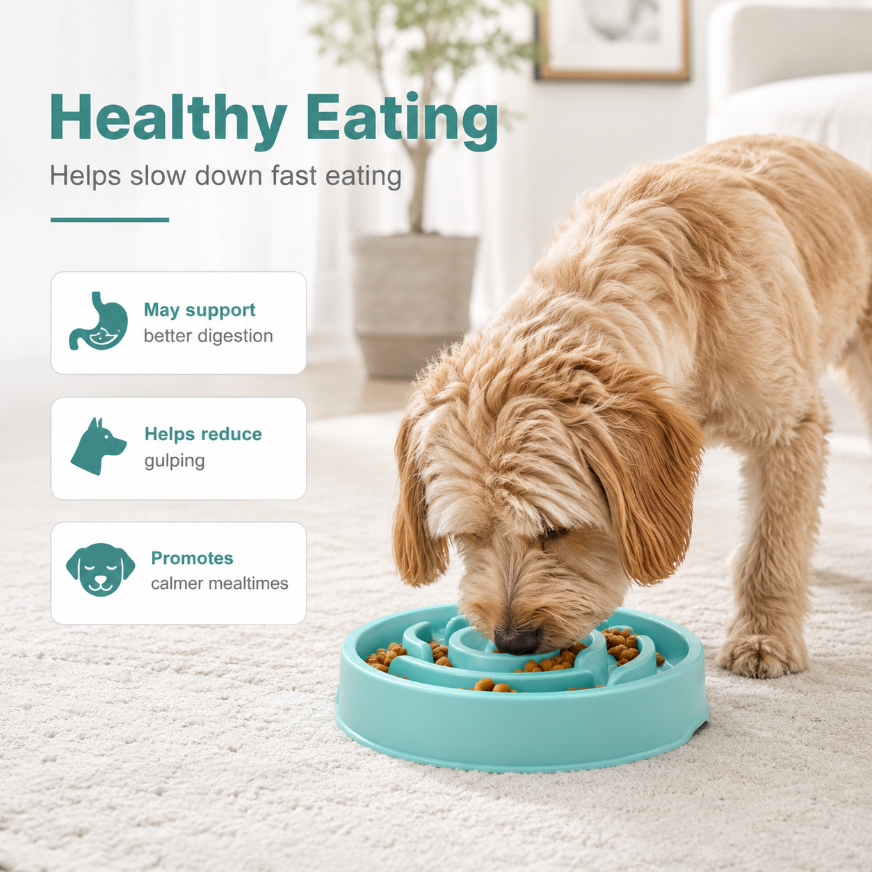 Slow Feeding Bowl