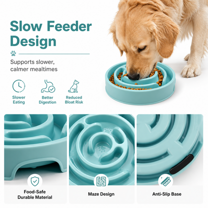 Slow Feeding Bowl