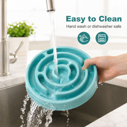 Slow Feeding Bowl