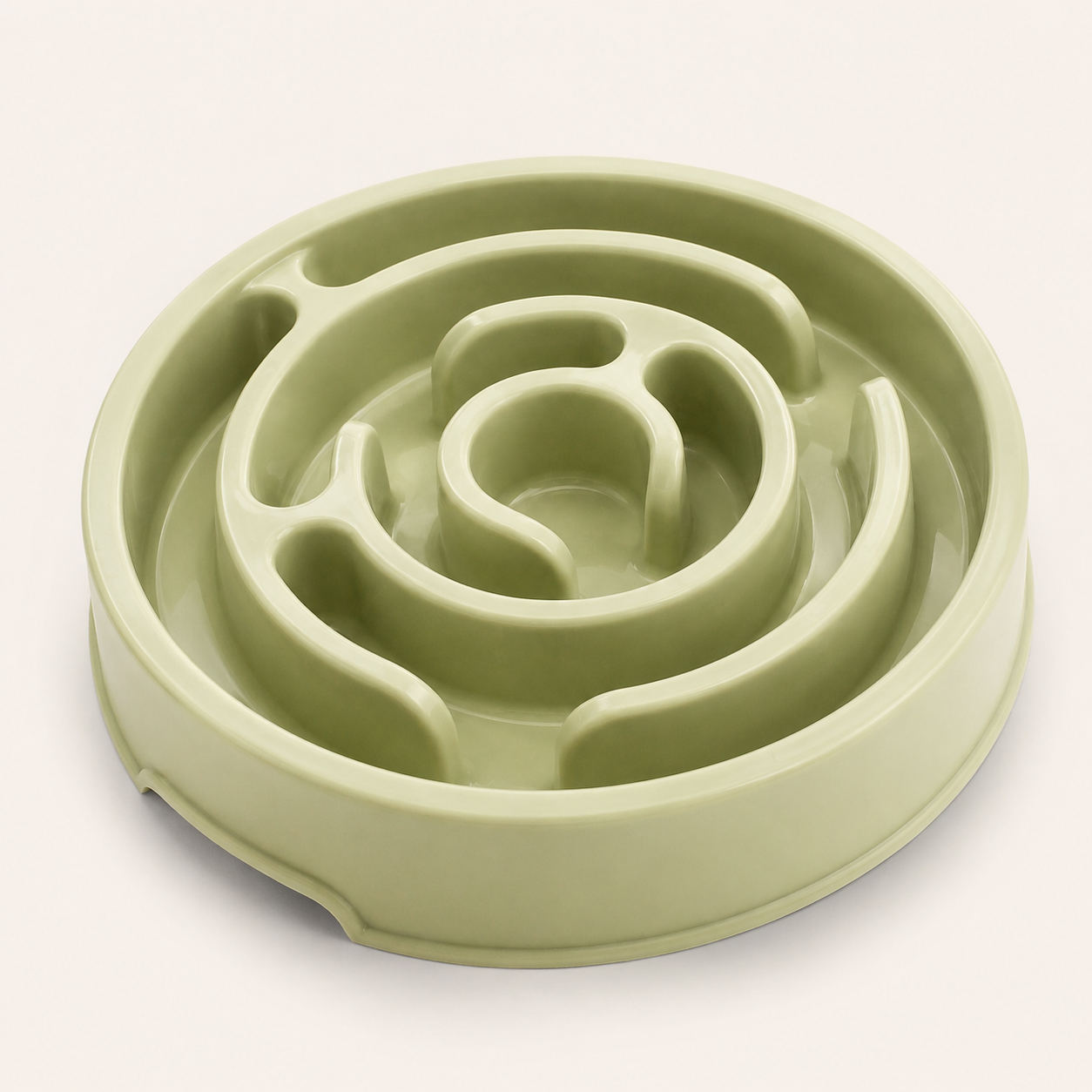 Slow Feeding Bowl